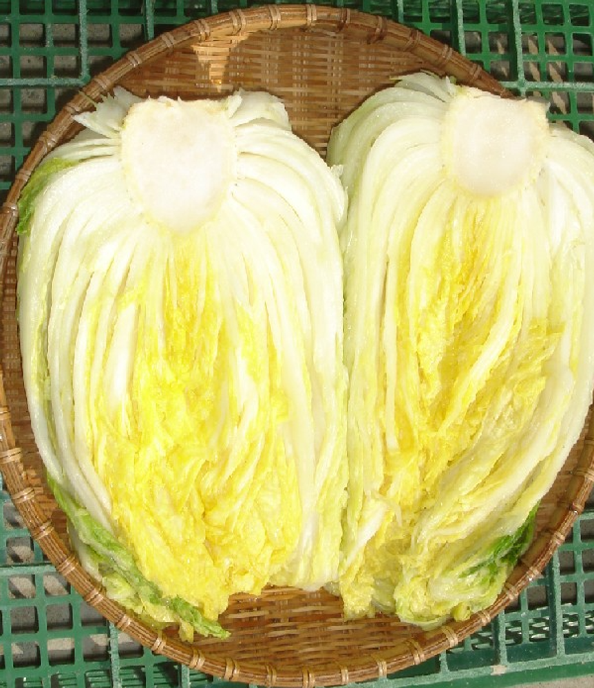 [i_Haenam] Haenam Golden Pickled Cabbage 10kg _ contained Lycopene _ Made In Korea