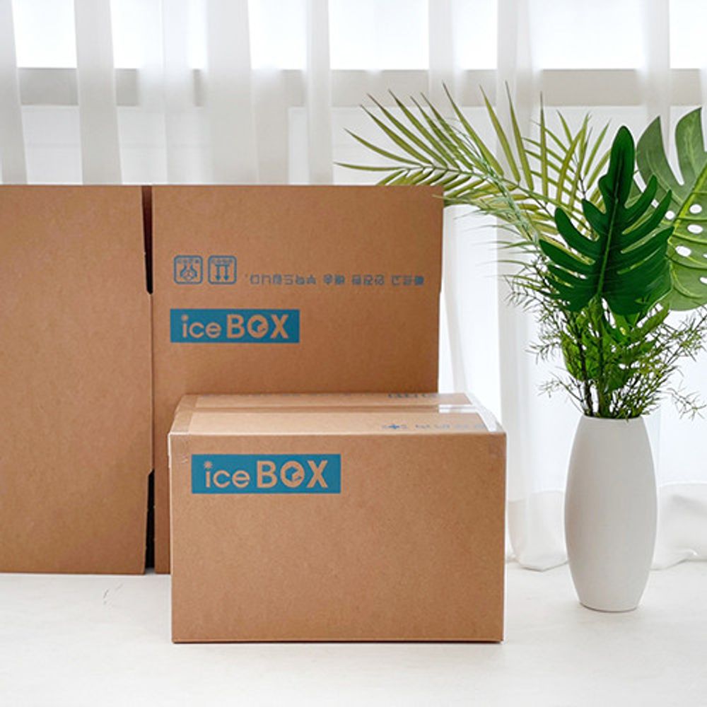 [Box Partner] cold delivery box ice box plain box post office packaging box