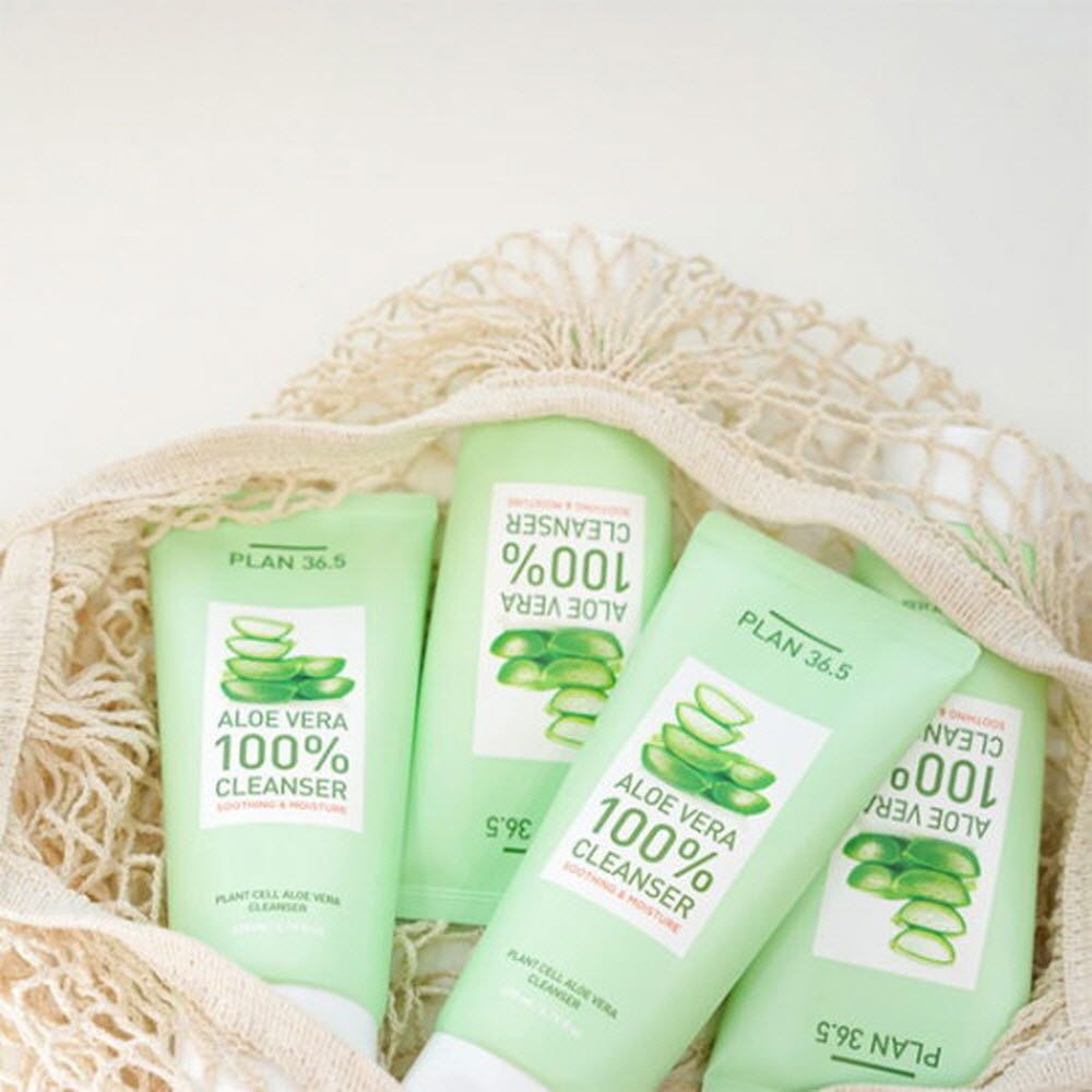 [PLAN36.5] Plan36.5 Plant Cell Aloe Vera Cleanser (170ml) | Deep Cleansing, Hydration, Soothing, Plant Stem Cells  Made in Korea