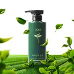 [ILYANG Pharmaceutical] Aomi Green Tea Essence Shampoo - 500ml | 7 Natural Ingredients for Hair Loss Prevention and Scalp Soothing Made in Korea