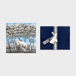 [GAHYUN ART] Park Kihoon – Coexistence Print Card Edition _ Korea