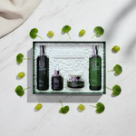 LEBELAGE Cica Madecassoside 4-Piece Skincare Set with Toner Emulsion Ampoule Cream and Complimentary Shopping Bag _ Made in Korea