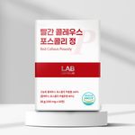 LAB ON LAB The Red Coleus Forskohlii Diet Fat Burner Forskolin Metabolism 60 Tablets _ Made in Korea