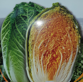 [i_Haenam] Haenam Golden Cabbage 10kg _ contained Lycopene _ Made In Korea