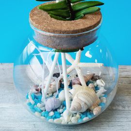 [It`s My Flower]  Fish bowl Diffuser Set (500ML), Air Freshener_ Made in KOREA