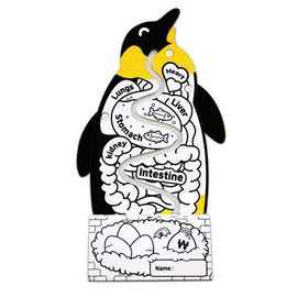 [Box Partner] Yum Yum Penguin Piggy Bank Children's Piggy Bank Coin Eating Penguin Coloring Game Sticker Nol_Made in KOREA
