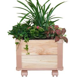 [Gallery Deco] Moving DIY wooden pot, plants medium, 2 level, indoor garden, made in Korea