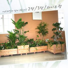 [Gallery Deco] Moving DIY wooden pot, plants medium, 2 level, indoor garden, made in Korea