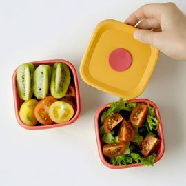 IBYEOL Friends Nicoletta Premium Platinum Silicone Baby Food and Rice Freezer Storage Container 300ml Eco-Friendly BPA-Free _ Made in Korea 