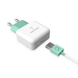 [S2B] TEMPLER Fast Charger USB 1Port _ with USB A to USB C Cable, USB A Fast Wall Charger, Cable Detachable Charger, 1Port Power Adapter Compatible with iPhone Samsung Galaxy