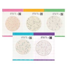 [Sanigen] 5 kinds of easy plates AC EC CC SA YM Dry Media Film Media_Microbial Dry Film, Easy Plate, Culture Paper, Rapid Detection Kit, Colony Counting _Made in Korea