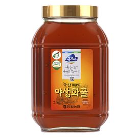[Donggang Maru] Yeongwol Nonghyup Wild Flower Honey 2kg (Bottle)_100% Domestic, Wildflower Flower, HACCP Certification_Made in Korea
