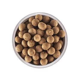 [INSAN BAMBOO SALT] Insanga Safflower Seed Pill Gift Set – Premium Bone & Oral Care Set – Made in Korea