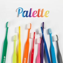 [Oradens] Palette Toothbrush 10-Pack – Dual Micro Bristles with Special AR Processing for Gum and Cavity Care! Made In Korea 
