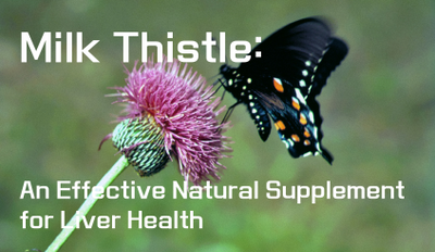 Milk Thistle: An Effective Natural Supplement for Liver Health