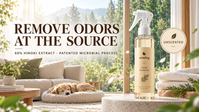 Endding Hinoki Deodorizer: Odor Care That Goes Beyond Masking with Fragrance