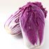 [i_Haenam] Antocyanin Red Cabbage_ Haenam Cabbage _ Made In Korea