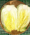 [i_Haenam] Haenam Golden Pickled Cabbage 20kg _ contained Lycopene _ Made In Korea