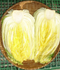 [i_Haenam] Haenam Golden Pickled Cabbage 20kg _ contenía licopeno _ Made In Korea