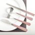 Apa yang kau datangkan? Bonitto matte (Light Pink) - Reusable Stainless Steel Korean Chopsticks Spoon Tableware Home, Kitchen atau Restaurant