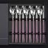 [HAEMO] Venezia Spoon Chopsticks, Violet 5 Set (BK) _ Cuillère réutilisable en acier inoxydable, coréenne _ Fabriqué en CORÉE