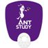 [Ihanwoori] ANT Egg Sack Fan (Square)_Customized, Perusahaan, PR, Promosi, Desain Request_Made di Korea