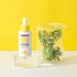 [JEJUON] Deep Probe Ceramide Liposomal Ampoule 35mL - Jeju Bija Tree Seed Low Temperature Milking Oil, Natural Derma, Vegan Organic Natural Ingredients, Non-Irritating Cosmetics - Produced in Jeju