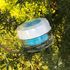[HAION] BOBAE OF JEJU OCEAN COLLAGEN PEPTIDE CREAM 50mL - Conch Abalone Collagen, Moisturerizing, Skin Elasticity Improvemen, JEJU organic natural ingredients, Non-Irritating  - Made in Korea