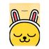 Kakao Friends Face L-Holder File Holder (Ryan & 5 Others) | A4 Document Storage | Translucent PP Material | 220x310mm Made in Korea